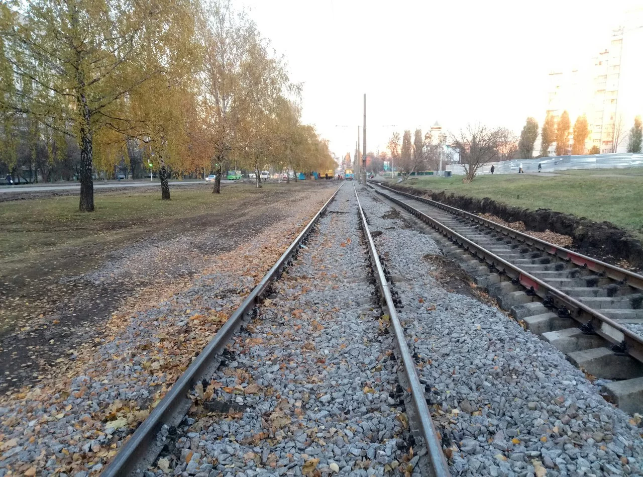 VXkD3iWIXtI.webp