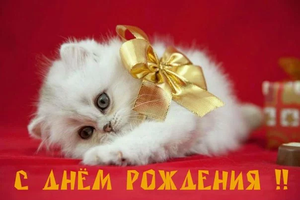 VxU8fUOcFy0.webp