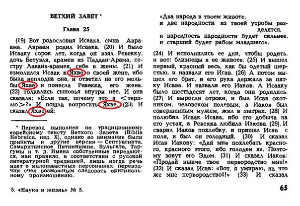 vZL0ok8RiQE.webp