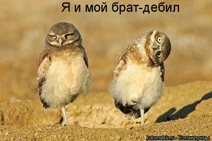 w.webp