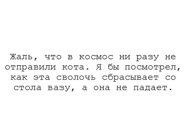 w6LZv_40GDc.webp