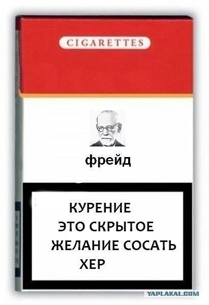 W8Vr_2WyKQc.webp