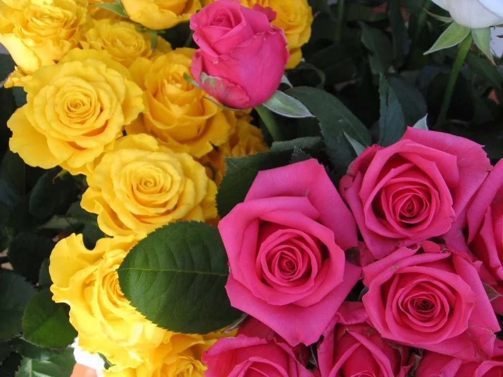 wallpapers_42640.webp