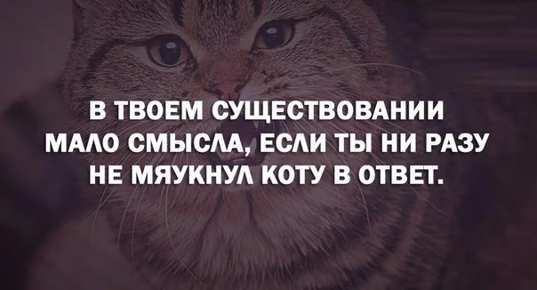 wCDkFzrSgoU.webp
