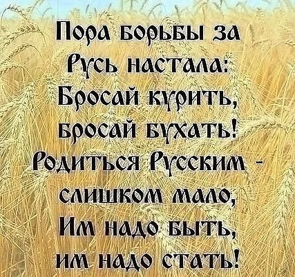 WCfEgKmo6aE.webp