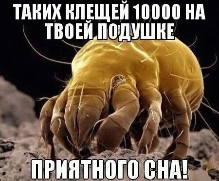 wE8lhfFEtQ0.webp