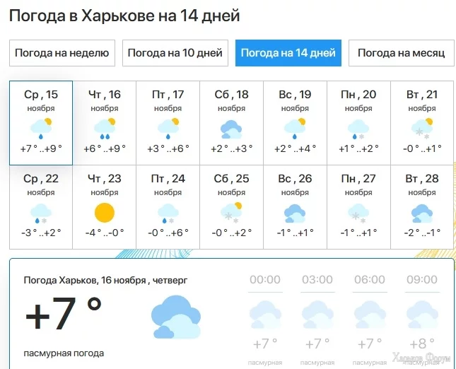 .webp