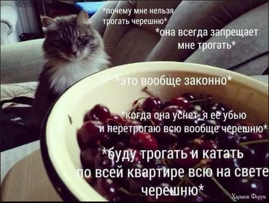 .webp