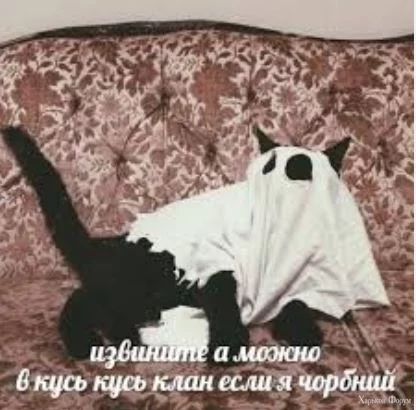 .webp