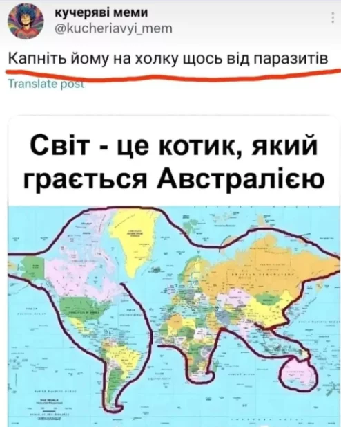 .webp