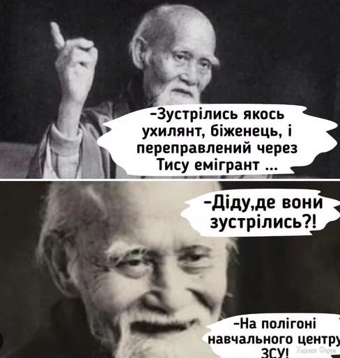 .webp