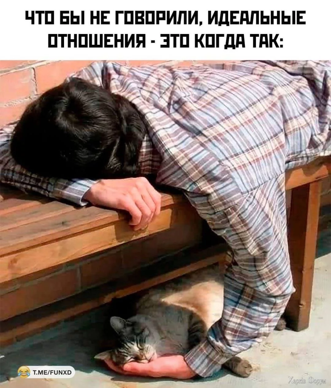 .webp