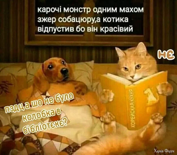 .webp