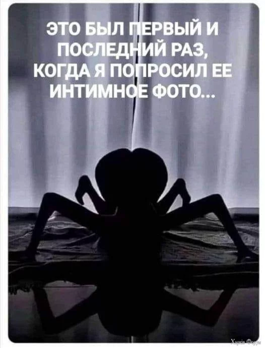 .webp