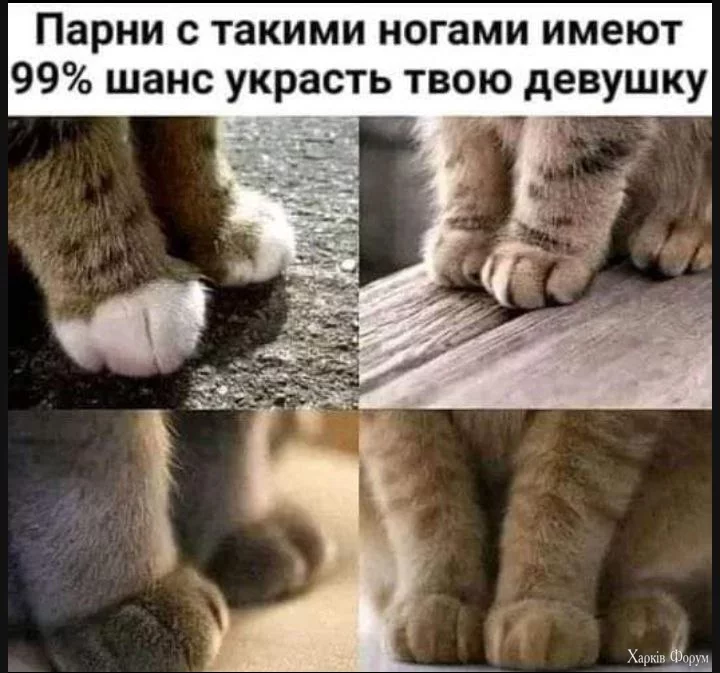 .webp