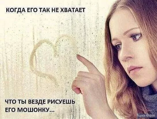 .webp