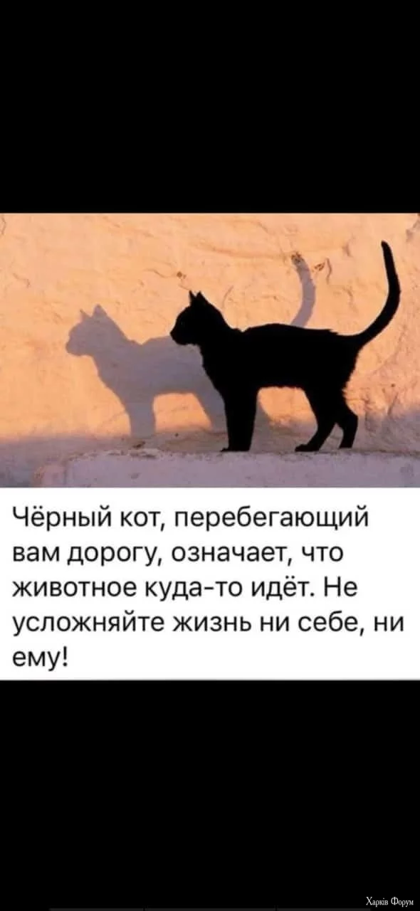 .webp