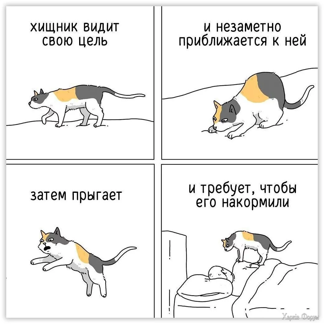 .webp