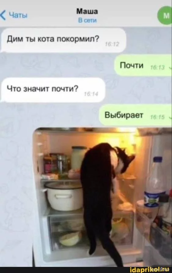 .webp