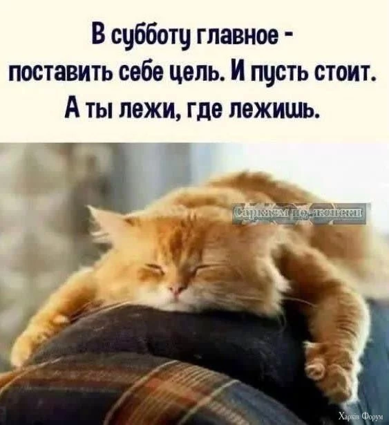 .webp