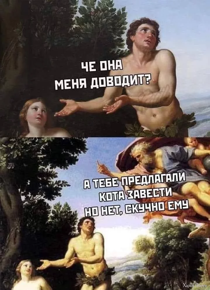 .webp