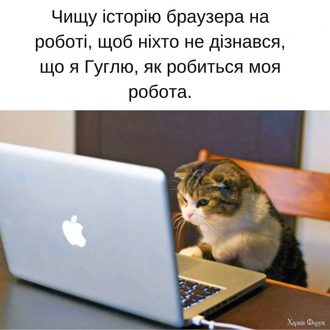 .webp