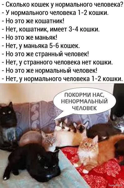 .webp