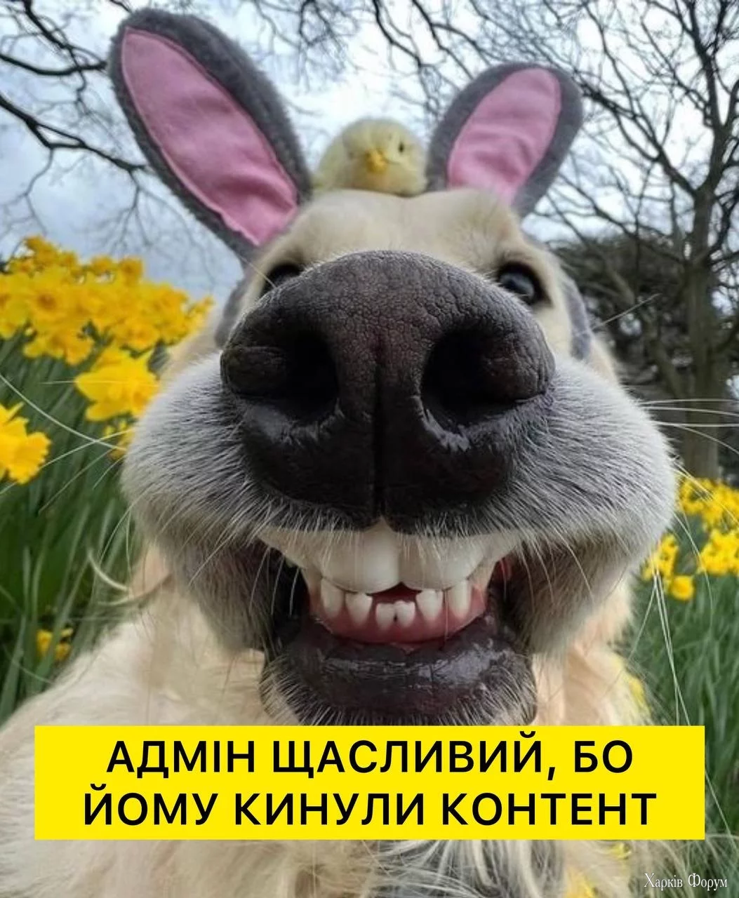.webp