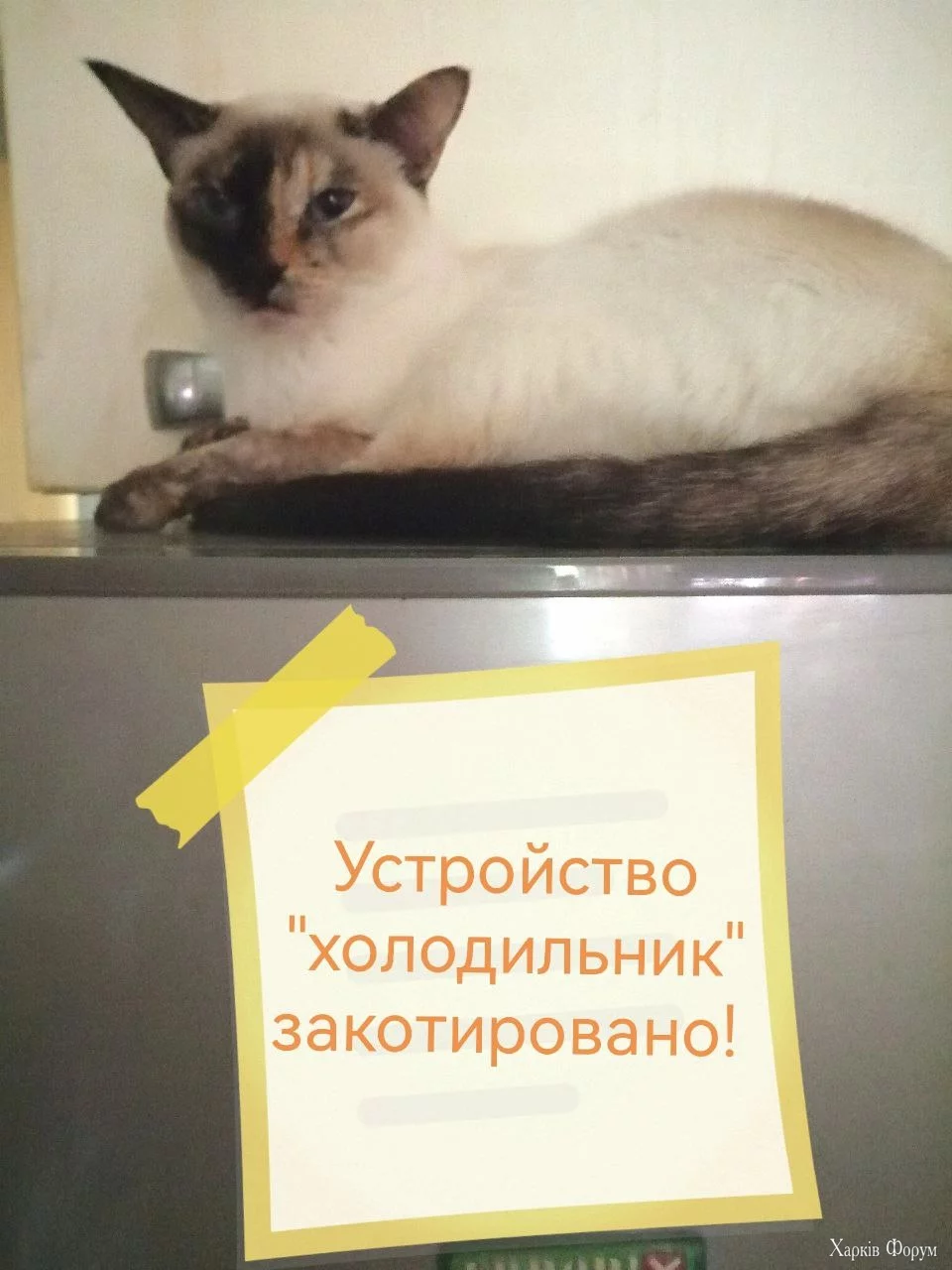 .webp