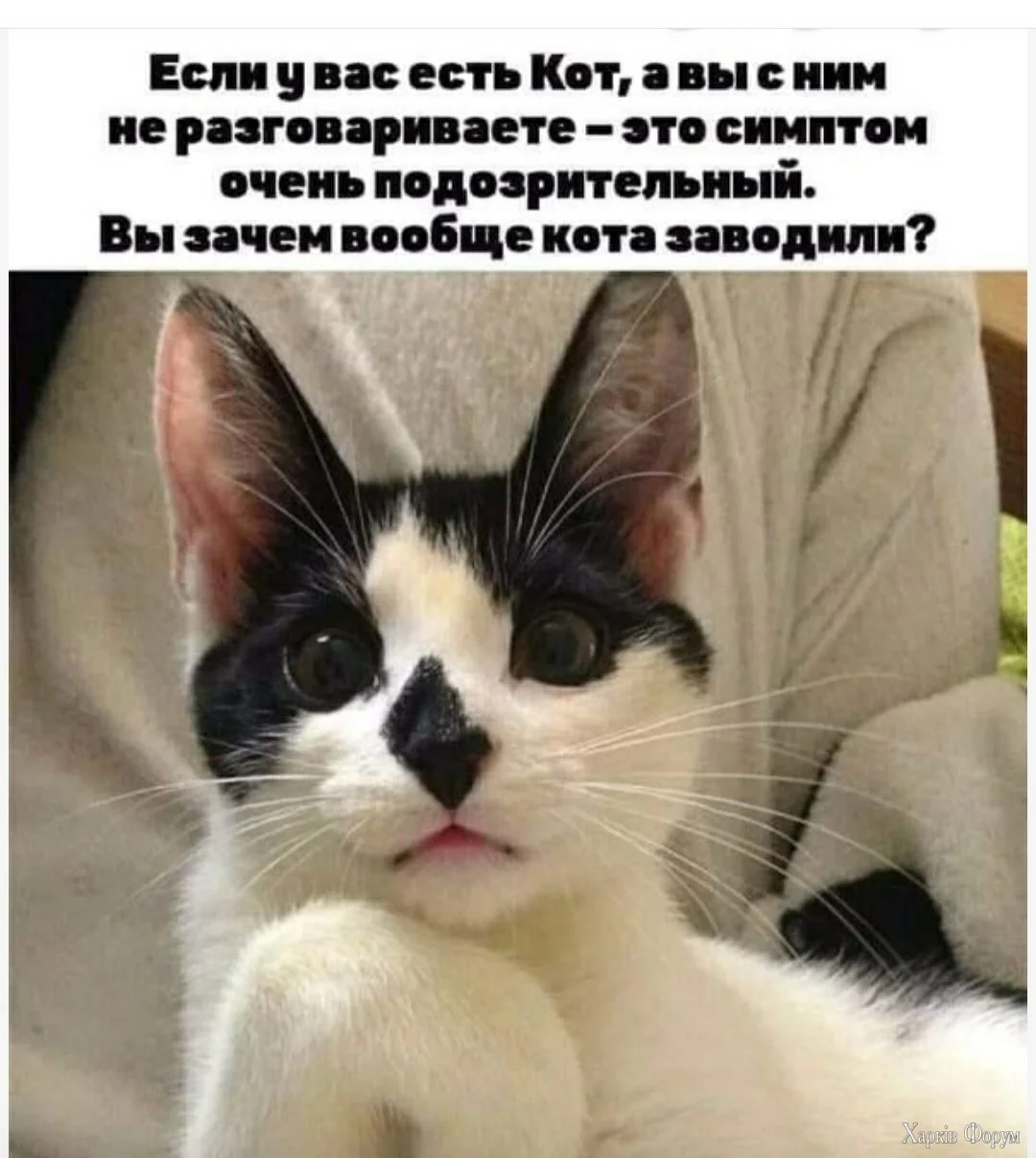 .webp