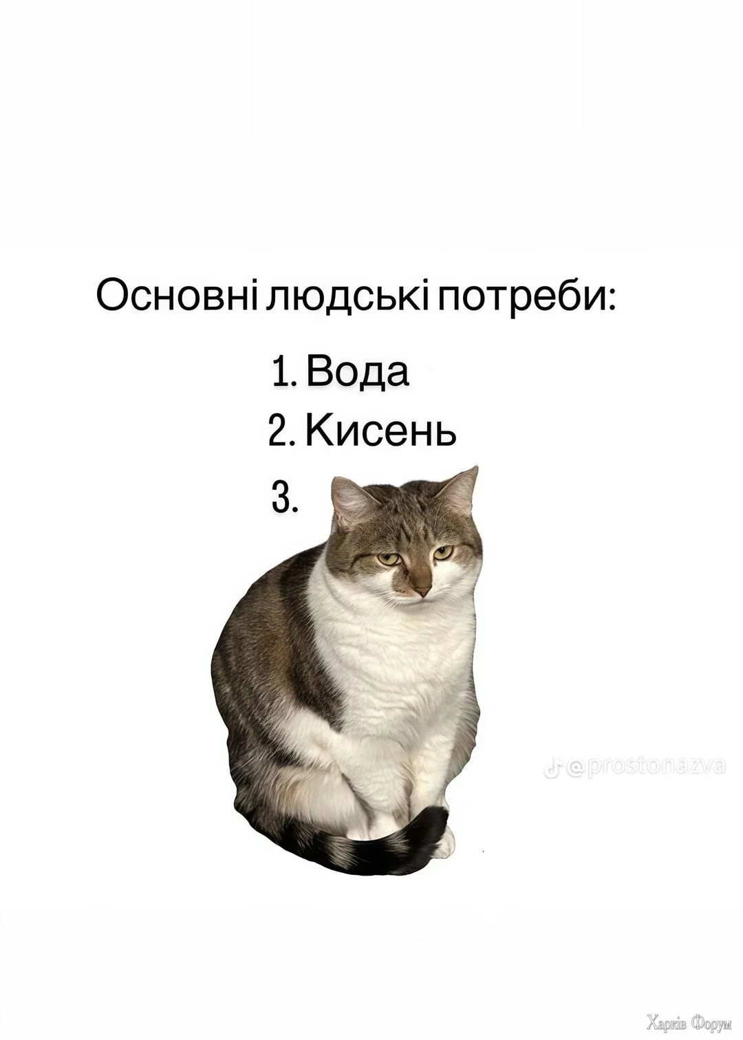 .webp