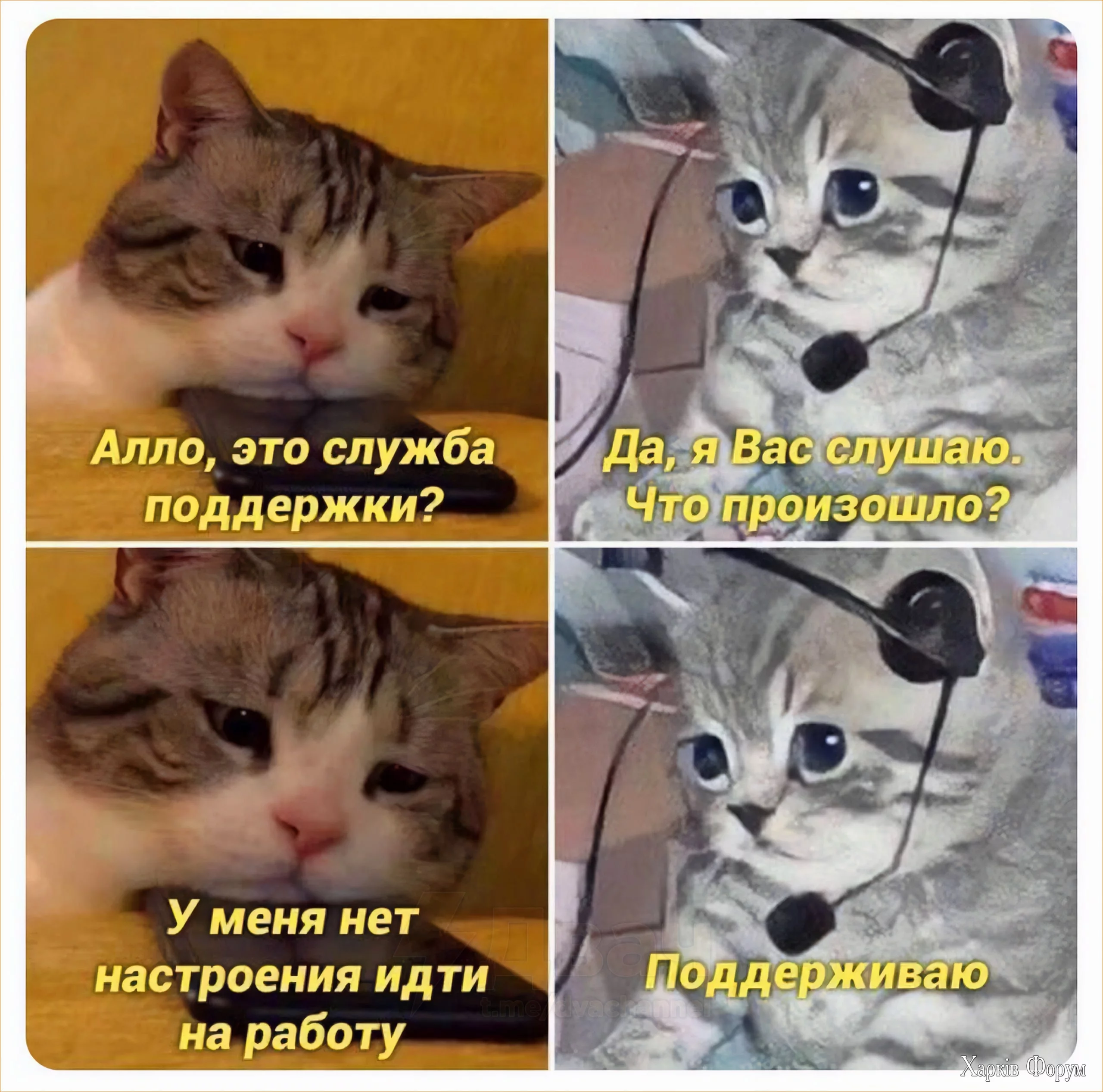 .webp