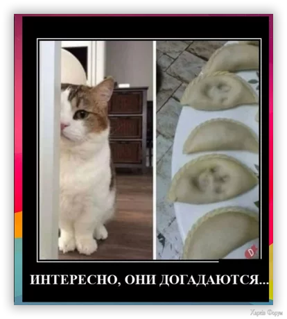 .webp