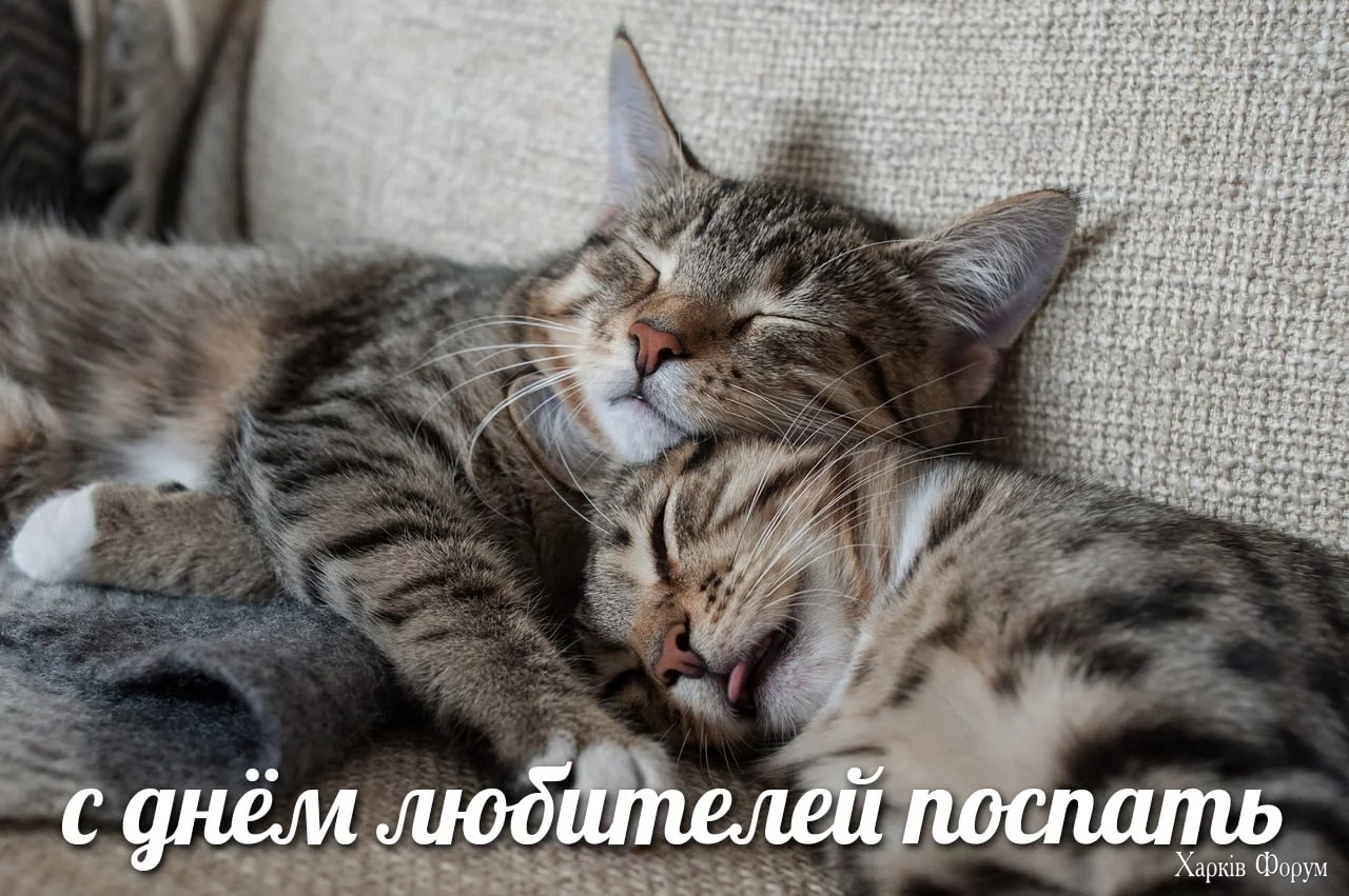 .webp