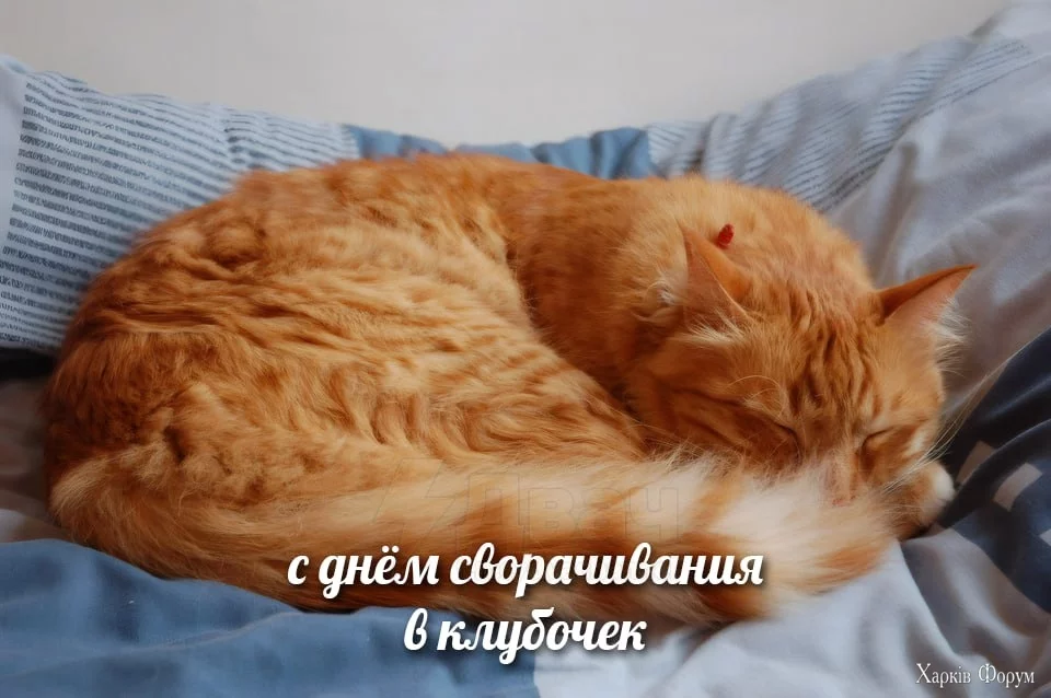 .webp