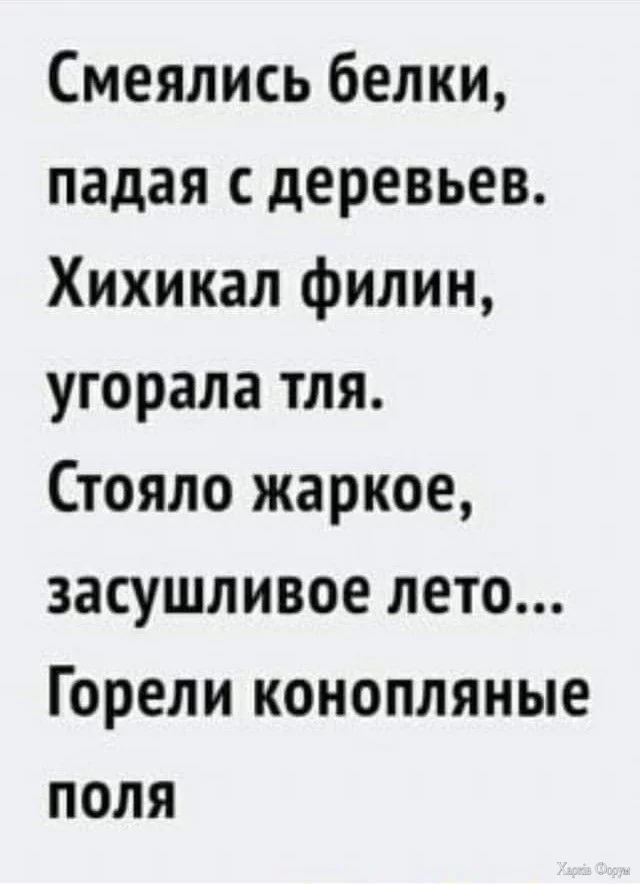 .webp