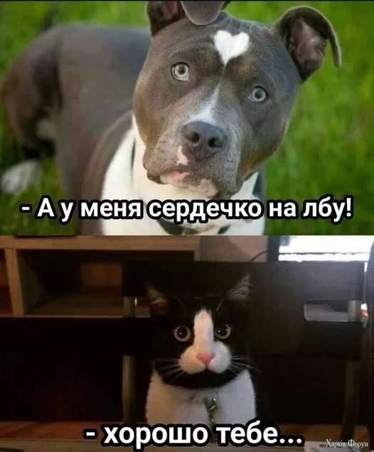 .webp