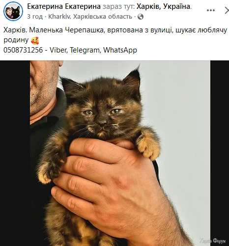 ч.PNG