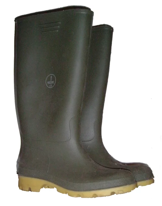 Wellies.webp