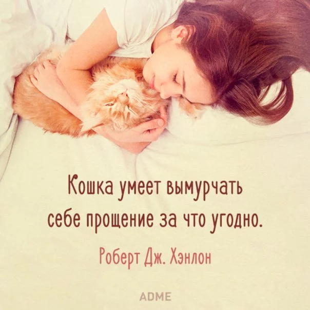 WenedCmuj8A.webp