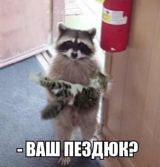 WfqigZLfvu8.webp