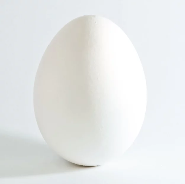 White_chicken_egg_square.webp