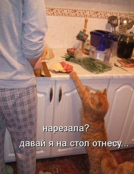 WHRZeMzfJqQ.webp