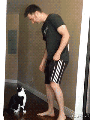 ?width=300&version=1463322.gif