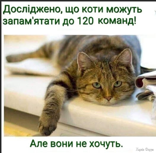 WiHRN9ECEV3SjDA&_nc_zt=23&_nc_ht=scontent.fiev25-1.jpg