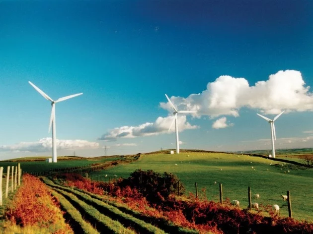 Wind_Farm-630x472.1200.webp