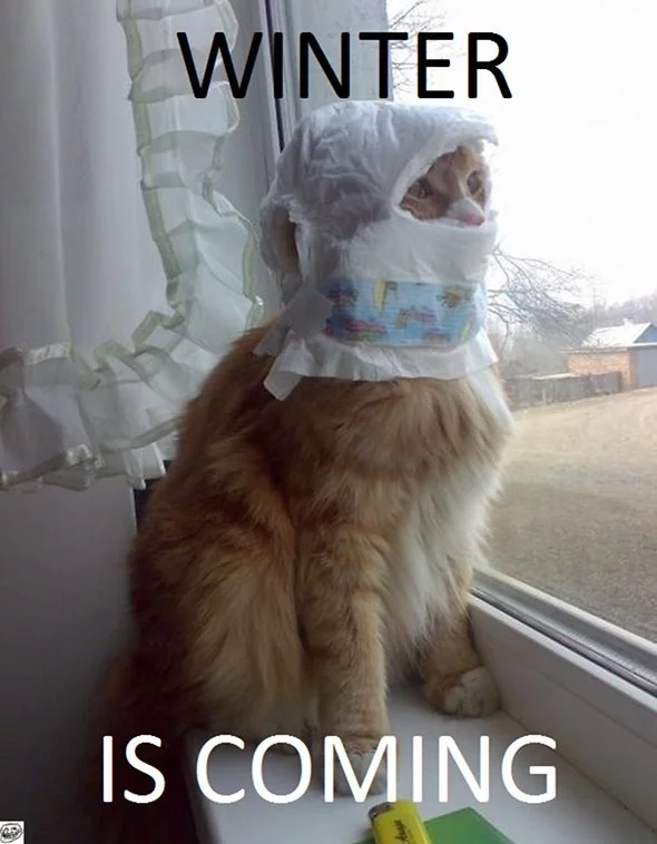 winter-is-coming-23184.webp