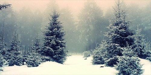winter-snow-nature-animated-gif-27.gif