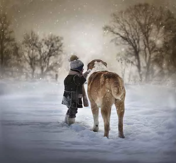 winter2.webp