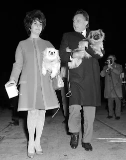 with+burton+1967.webp